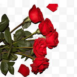 红色创意情人节玫瑰花元素