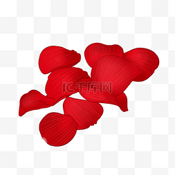 飘落的红色花瓣图片_情人节红色花瓣插图