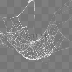 挂着露珠的蜘蛛网效果设计