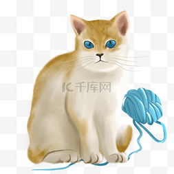 小猫玩耍图片_动物类猫咪宠物写实手绘