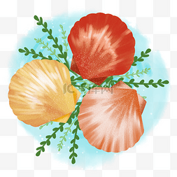 手绘海鲜贝壳图片_手绘海鲜美食美味贝壳之三个扇贝