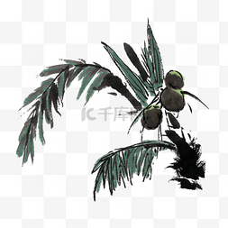 椰子树水墨风手绘
