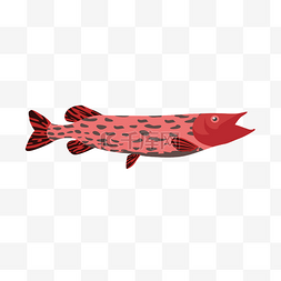 鱼图案卡通鱼造型