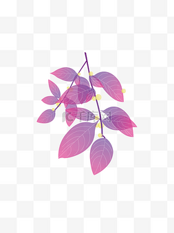 紫色植物绿叶可商用元素