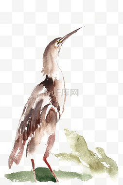 仰视的鸟水彩画PNG免抠素材