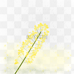 春天黄色花