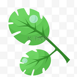 圆圆的绿色叶子插画