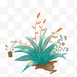 春天时尚植物插画PNG