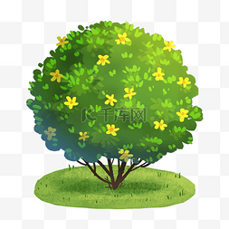 长满绿叶开满鲜花的大树