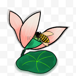 凋零的花朵图片_卡通古风蜜蜂与凋零的荷花PNG
