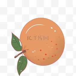 桔子水果橘色