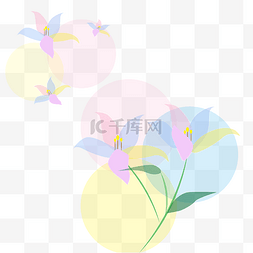 多彩百合花透明素材png下载