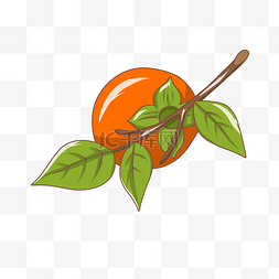 水果柿子图片_手绘卡通红色水果柿子插画