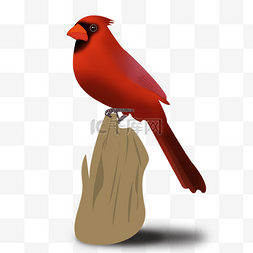 动物图片_手绘扁平化红色小鸟矢量素材