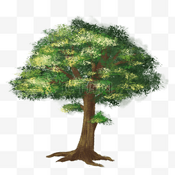 森系绿色手绘图片_小清新森系唯美绿树