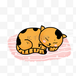 猫橘猫图片_世界睡眠日小猫睡觉