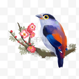 手绘水彩动物植物鸟与花卉