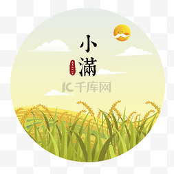 小满手绘饱满麦穗