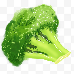 蔬菜插图图片_绿色有机蔬菜插图