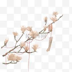 古风素雅图片_古风素材粉色玉兰姻缘线