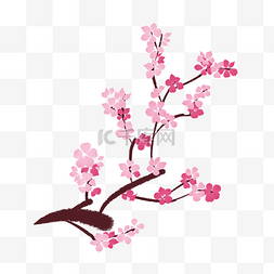 盛开的樱花树插图