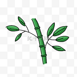 绿色竹子植物手绘插画psd