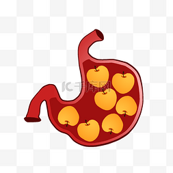 人体的胃图片_人体器官胃