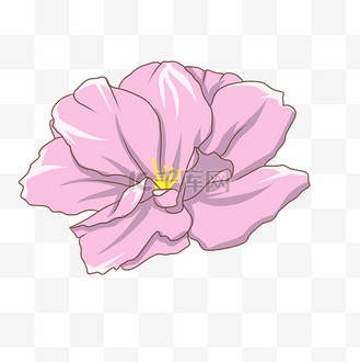 手绘春季花朵插画