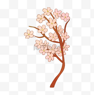 樱花花枝树枝插画