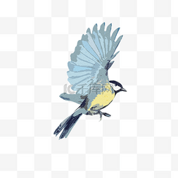 蓝色卡通翅膀图片_挥舞着翅膀的卡通小鸟免抠图