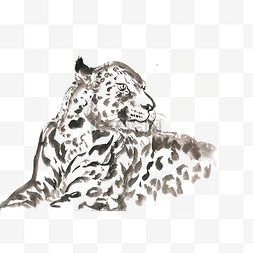 回头张望的豹子水墨画PNG免抠素材