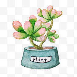 植物手绘粉色图片_手绘卡通多肉插画
