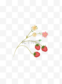 手绘草莓花植物可商用元素