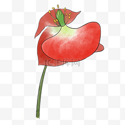 手绘植物花卉红色轻柔水彩小花花