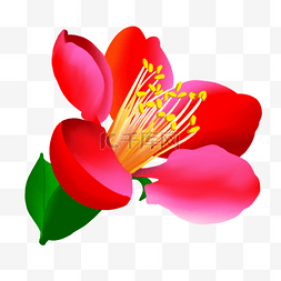 粉色玫瑰花瓣手绘图片_红粉免扣卡通花朵