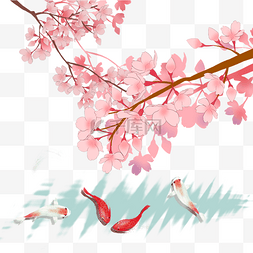 唯美粉色樱花树图片_日本春天樱花锦鲤唯美风景