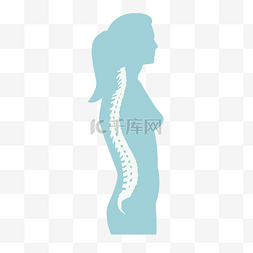 医学内科学图图片_女性的背部脊椎图