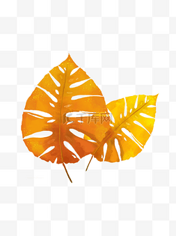 橘色秋天图片_手绘水彩黄色秋叶植物叶子芭蕉叶