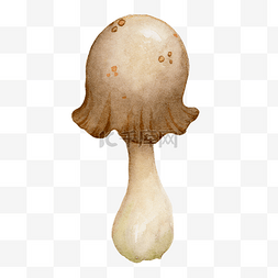 水彩秋日雨后蘑菇