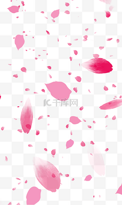 可的图片_粉红色的花瓣雨背景免扣