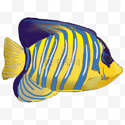 花纹黄色图片_黄色条纹海洋鱼类元素