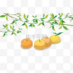 树叶橘子背景