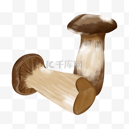 黄色小蘑菇野生蘑菇菌类食材食物