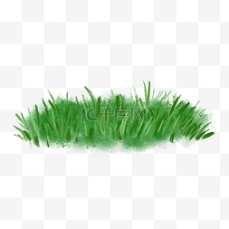 绿色清新小草图片_春天绿色植物小清新草丛