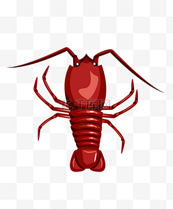 深红色小龙虾