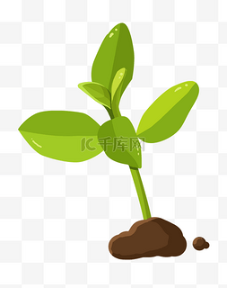 绿色植物插画图片_手绘发芽植物插画