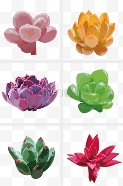 手绘彩色花卉图片_手绘矢量多肉植物