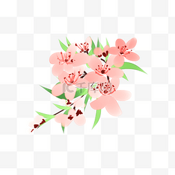 手绘唯美粉红色花朵插画素材