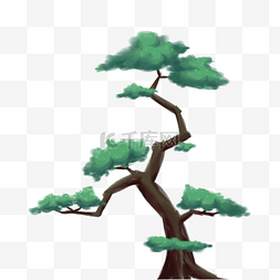 水彩松树图片_手绘的水彩松树插画