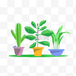 植物盆栽质感扁平矢量免抠图